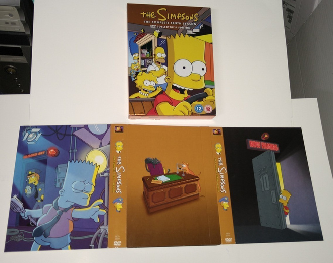THE SIMPSONS THE COMPLETE TENTH SEASON DVD