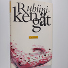 Outi Hukki : Rubiinikengät - pikkukuva 1