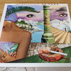 Weather report Mr. gone LP - pikkukuva 1