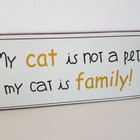 Peltikyltti - peltinen Ovikyltti - My cat is not a pet ..... - pikkukuva 1