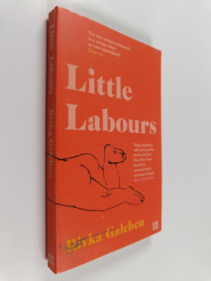 Rivka Galchen : Little Labours