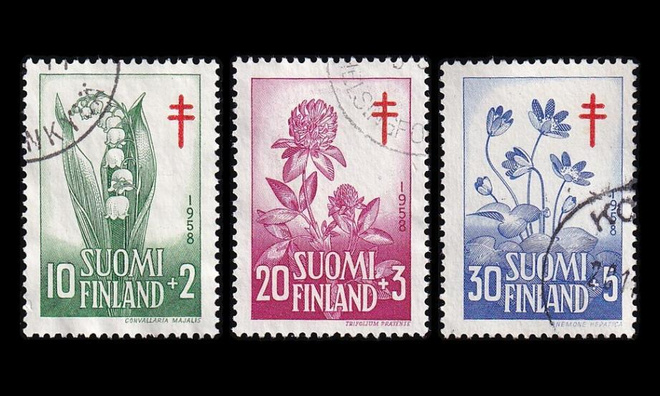 493-5 o Tuberkuloosi kukkia (1958)