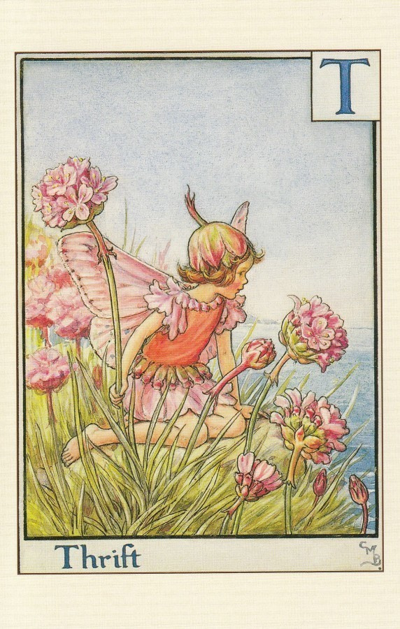 Cicely Mary Barker: Laukkaneilikan keiju, kirjain T