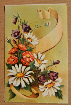 Liisa Kemppainen: kukkakimppu, kulkenut 1956
