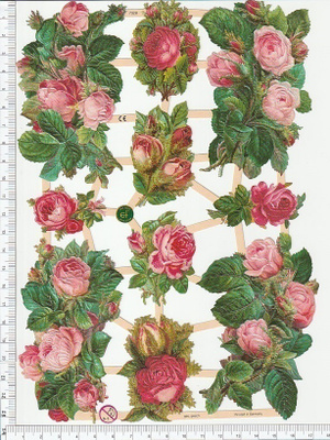 ~ EF 7328, ruusukimppuja-arkki ~