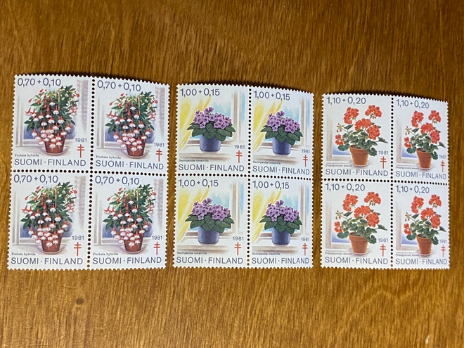 TUB SARJA 1981 NELIÖT**