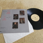 PSEUDO ECHO - Autumnal Park LP - pikkukuva 2