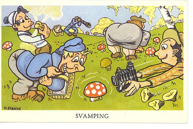 H. EKBACKE : Svamping. Sienien keruu