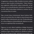 Minna Riikka Järvinen: Kuin olisi sen lapsen ilme kirkastunu - pikkukuva 3