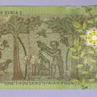 Syyria 1000 Pounds v.2013 UNC P-116 - pikkukuva 2