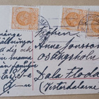 Jenny Nyström: Lapsi possu kainalossa, lippu kädessä p. 1918 - pikkukuva 2