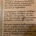 PIHAPIIRIN PIKKUELÄIMIÄ -PELIKORTIT - pikkukuva 2