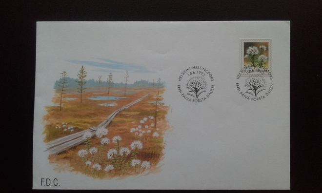 FDC Yleismerkki 1lk 14.6.1993 LaPe 1212