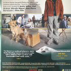 LE HAVRE DVD (Aki Kaurismäki) - pikkukuva 3