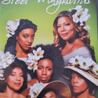 Steel Magnolias - Teräskukkia - pikkukuva 1