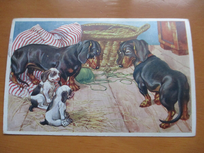 Koirat - kpk 1 1940