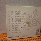 Wang Lei:Xin CD - pikkukuva 2