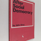 John Gray : After Social Democracy - Politics, Capitalism... - pikkukuva 1