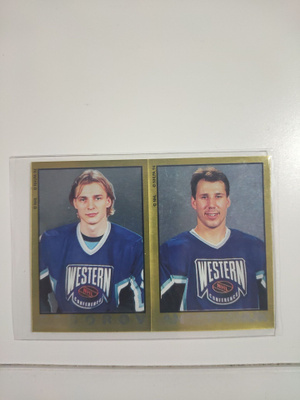 1994-95 Panini Stickers #236 Sergei Fedorov/Dave Andreychuk