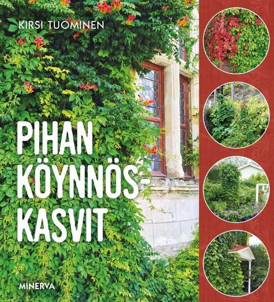 Kirsi Tuominen: Pi­han köyn­nös­kas­vit