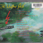 The Weather Girls - Douple Tons Of Fun - pikkukuva 2