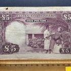 Central Bank of Nigeria Five Pounds - pikkukuva 2