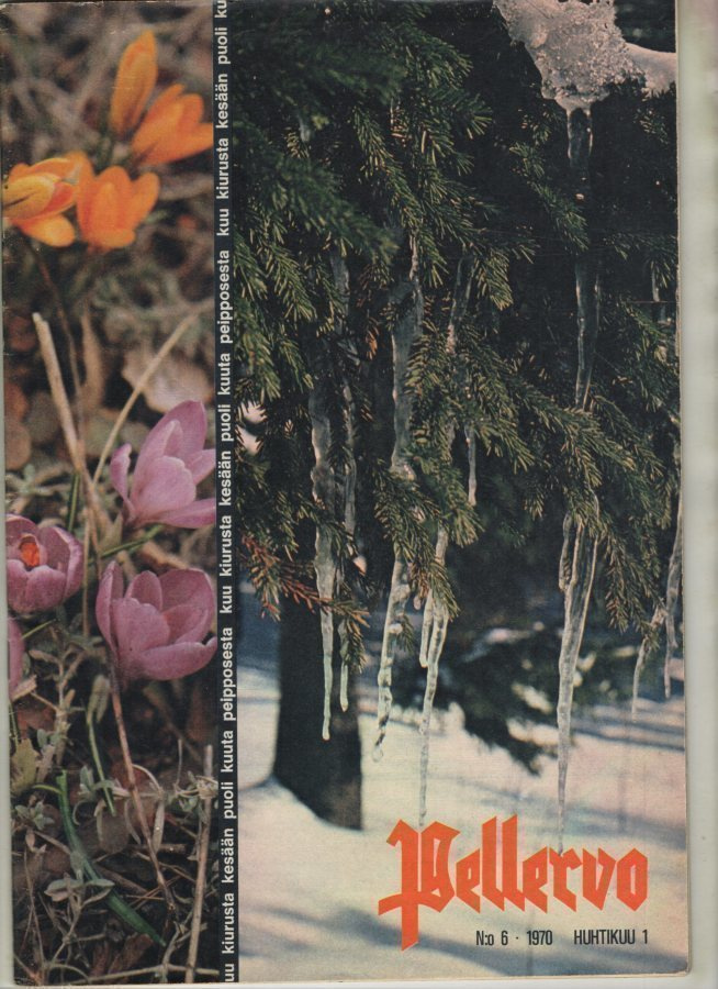 Pellervo n:o 6 1970 Aulis Haikkonen. Reijo Stedt. Yhteistyö.