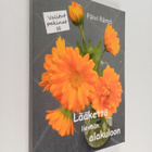 Päivi Rämö : Lääkettä lievään alakuloon (signeerattu) - pikkukuva 1