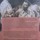 VIIDAKKOSISSIT DVD UUSI - pikkukuva 2