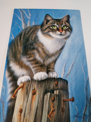 Kissa kortti,kulkematon.