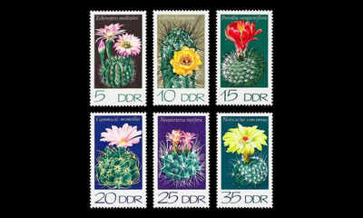 DDR 1922-7 ** Kaktuksia (1974)