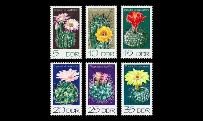 DDR 1922-7 ** Kaktuksia (1974)