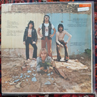 Bush - s/t vinyyli LP - pikkukuva 2