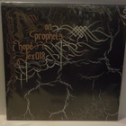 NON-PROPHETS - HOPE EX/EX+ UK 2003 1ST PRESS 2LP - pikkukuva 2