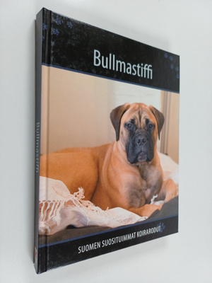 Bullmastiffi