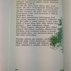 Gabriel Garcia Marquez : Patriarkan syksy - pikkukuva 2