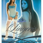 Benchwarmer 2008 Signature Series Lingerie Foil Kitana Baker - pikkukuva 1