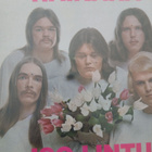Haikara : Iso Lintu. - pikkukuva 1