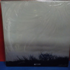 THE BODY - ALL THE WATERS OF EARTH TURN TO BLOOD M-/M- 2LP - pikkukuva 2