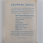 Jalmari Sauli : Ketunlukon oravanpojat : seikkailuja talv... - pikkukuva 2