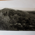 Koli - 1955 - pikkukuva 1