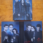 Dvd: the twilight saga - pikkukuva 2