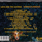 Leevi And The Leavings - Kerran Elämässä - pikkukuva 2
