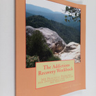 James Phelan : The Addictions Recovery Workbook: 101 Prac... - pikkukuva 1