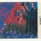 Masters of The Universe -purkkatarroja, 5 € / kpl - pikkukuva 4