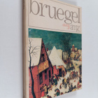 Les petits classiques de l'art : Bruegel - pikkukuva 1
