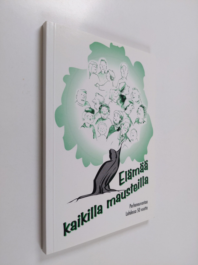 Leena Hakala-Reijomaa : Elämää kaikilla mausteilla : perh...