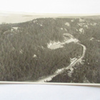 Koli - 1948 Ruotsiin mennyt - pikkukuva 1