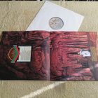 RICK WAKEMAN - Journey To The Centre Of The Earth LP - pikkukuva 3
