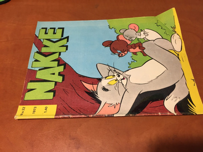 NAKKE LEHTI 22/1973 HYVÄ